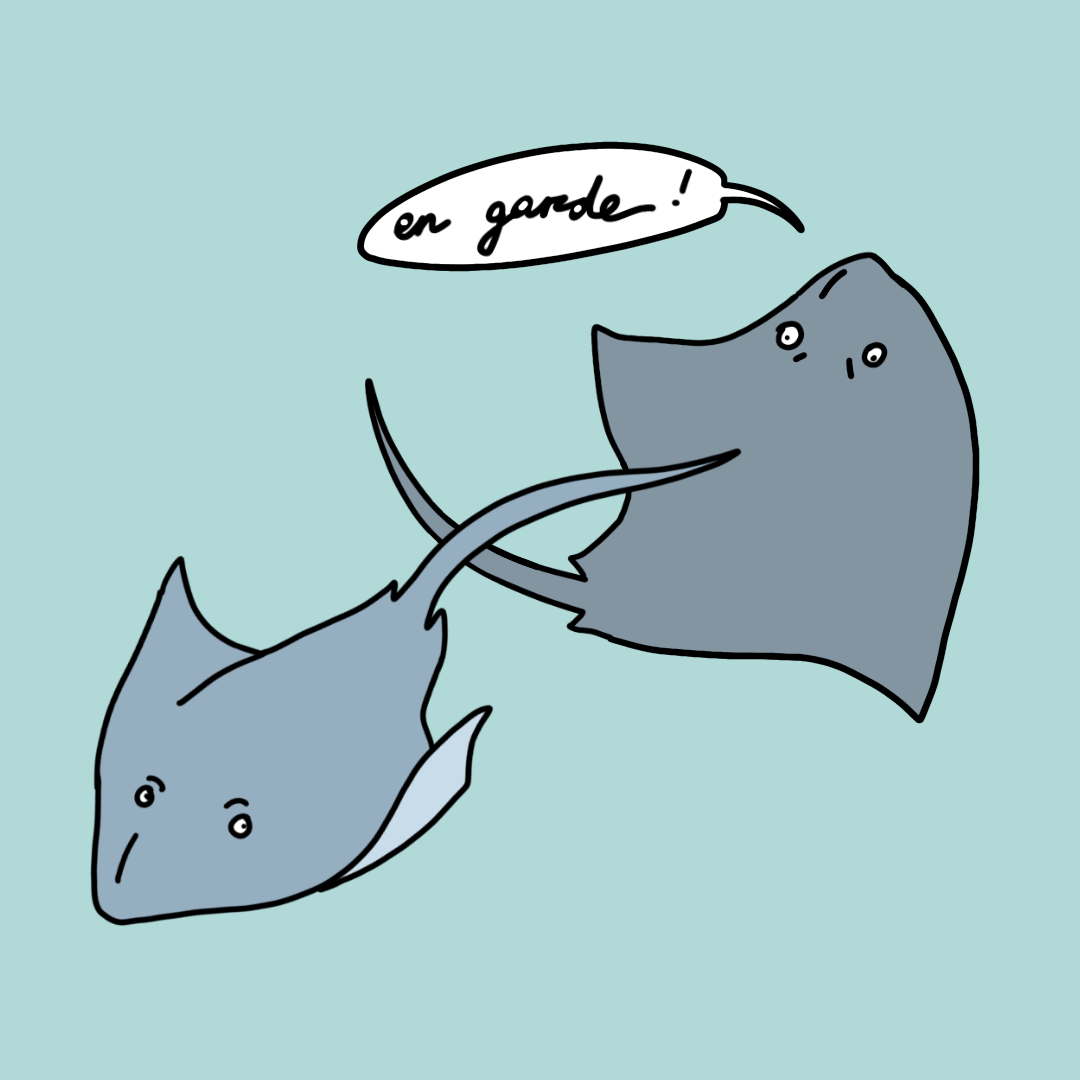 Stingray Doodles